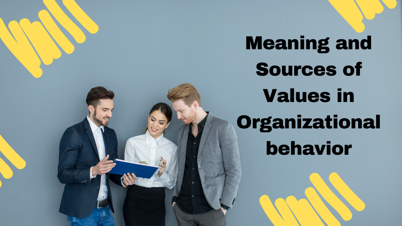 Meaning and Sources of Values in Organizational behavior