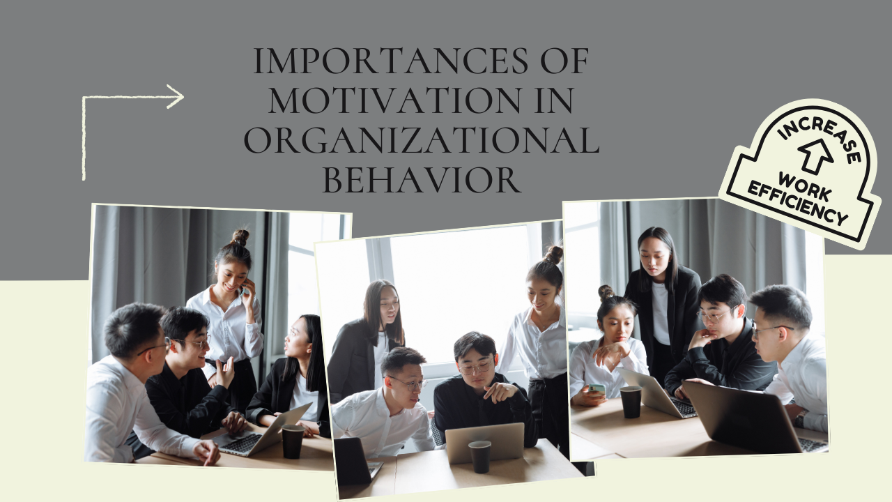 Importance of Motivation in Organizational behavior