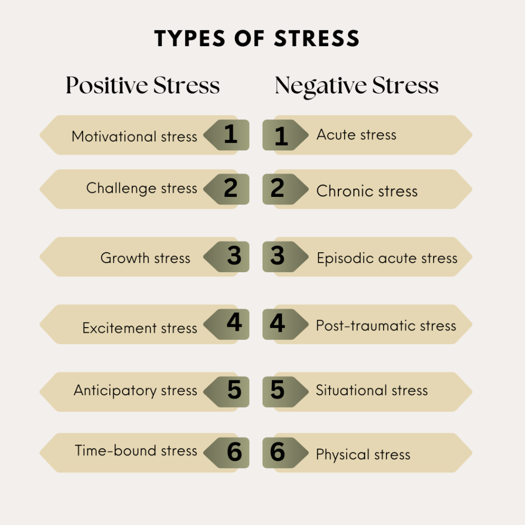 Types of Stress Positive and Negative 